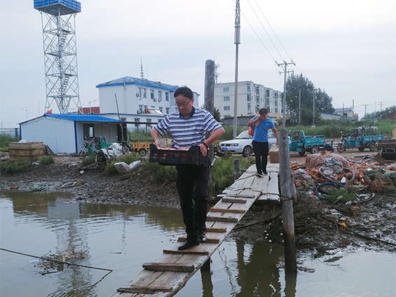 Submarine Cable Repairing  