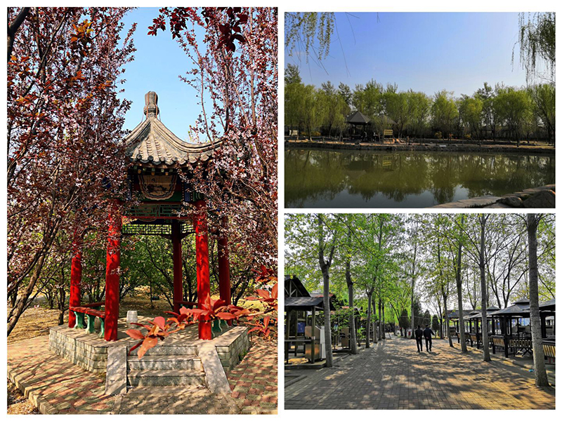 Spring Outing To Yangliuqing Manor