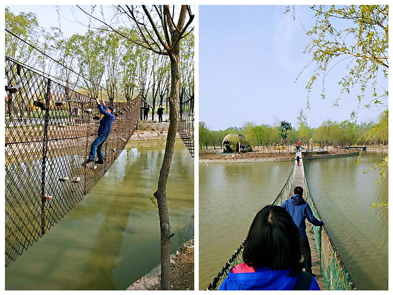 Spring Outing To Yangliuqing Manor