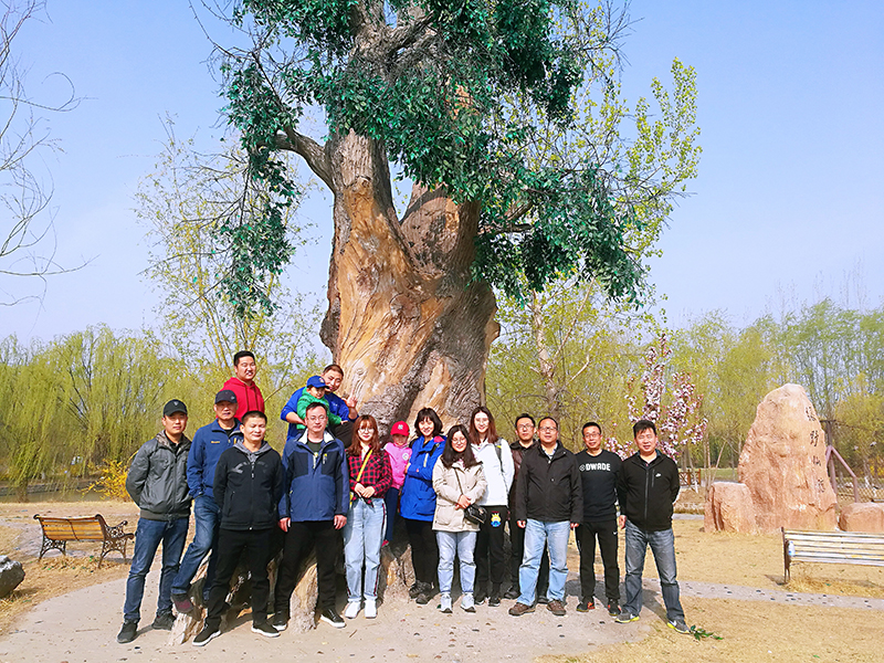 Spring Outing To Yangliuqing Manor