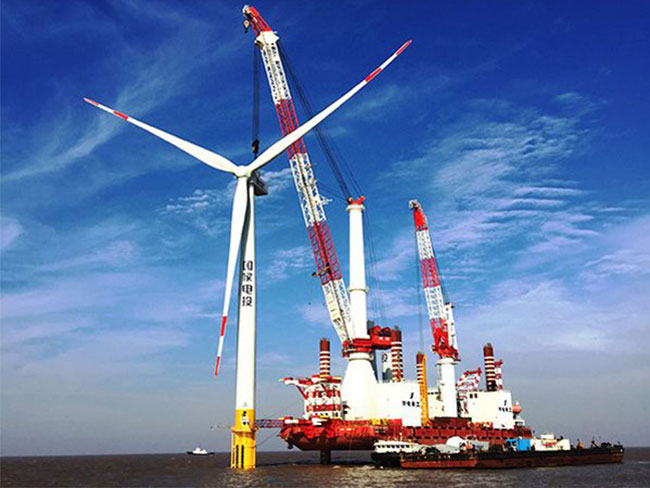 Country's top offshore wind farm to go grid this month