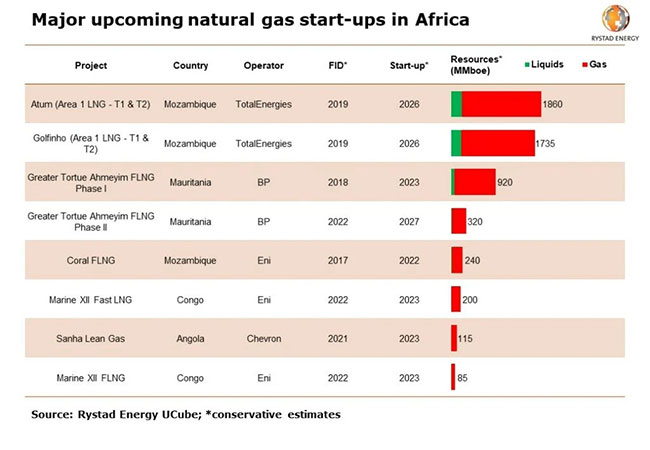 Europe eyes gas-rich African nations for new supplies, Rystad says