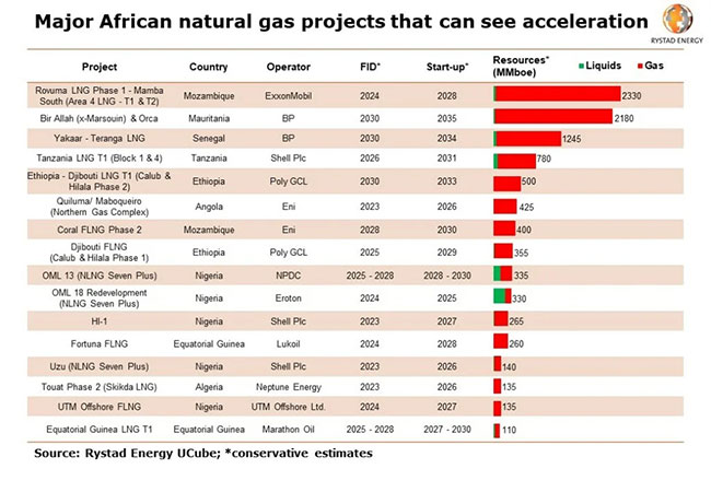 Europe eyes gas-rich African nations for new supplies, Rystad says