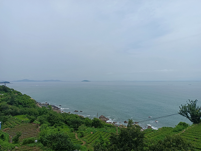 Keep Your Passion and Be Ready for Whatever Comes Your Way-- Qingdao Project Visiting and Sightseeing Tour