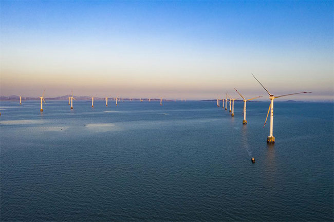 Fujian looks to expand wind power industry