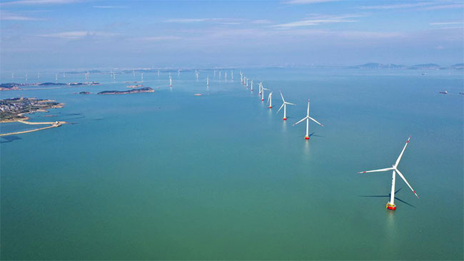 Fujian looks to expand wind power industry