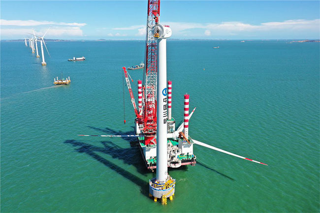 Fujian looks to expand wind power industry