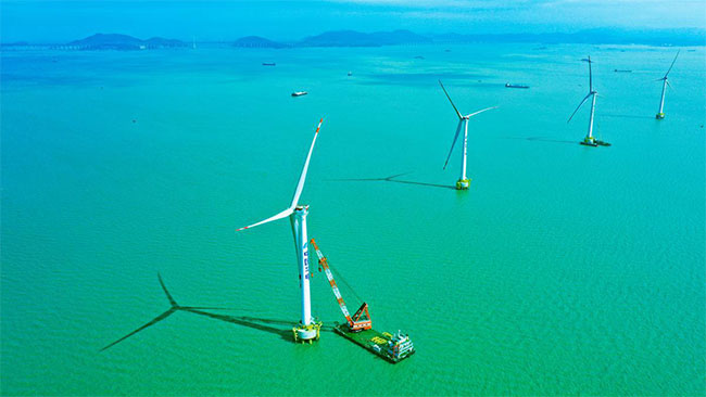 Fujian looks to expand wind power industry