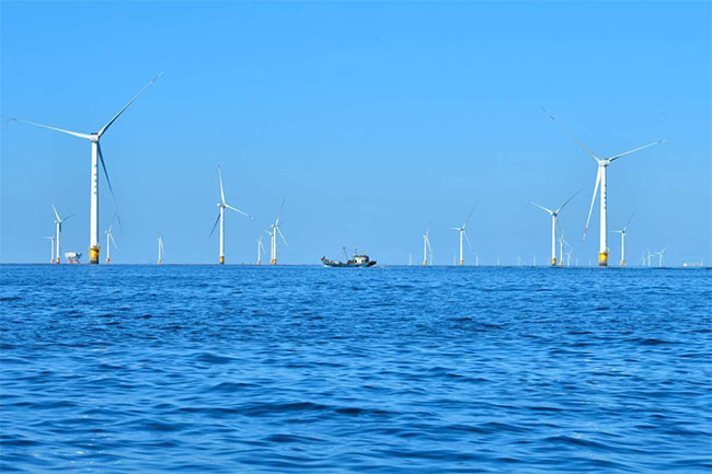 Offshore wind power sector galloping forward