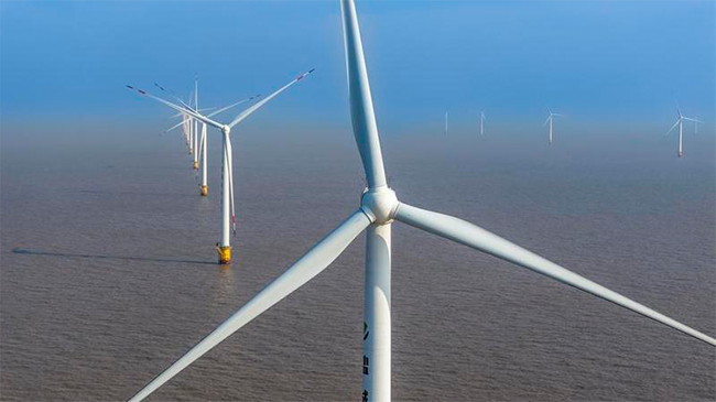 New alliance established in Dalian to promote offshore wind industry development