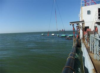 Yuedong Submarine Pipeline Laying Project (Year 2011~2012—Tincy Energy Group)