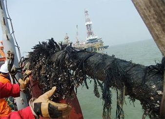 Zhaodong Oil Field Cable Repairing Project (Year 2012-- Roc Oil)