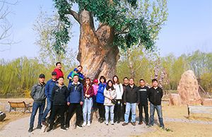 Spring Outing To Yangliuqing Manor