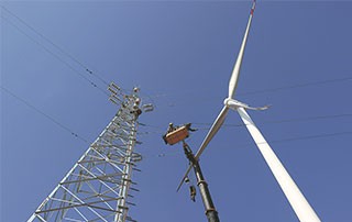 Wind power sector's fast growth to aid China's green goal