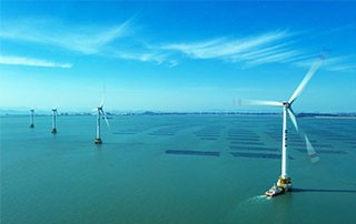 Fujian looks to expand wind power industry