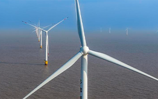 New alliance established in Dalian to promote offshore wind industry development