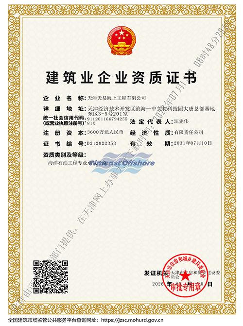 Professional Contracting for Offshore/Subsea Oil Engineering