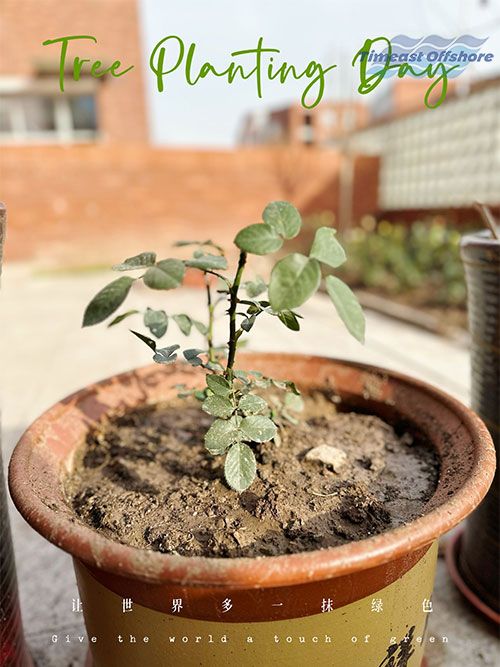 "Plant" Green and Enjoy the Spring Scenery Together