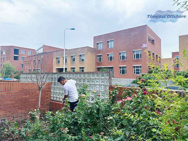 Enjoy the Autumn, Timeast's Yard is Filled with Joy