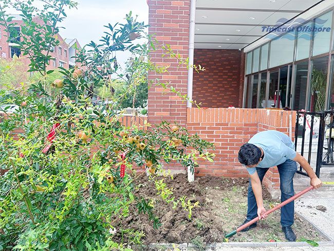 Enjoy the Autumn, Timeast's Yard is Filled with Joy