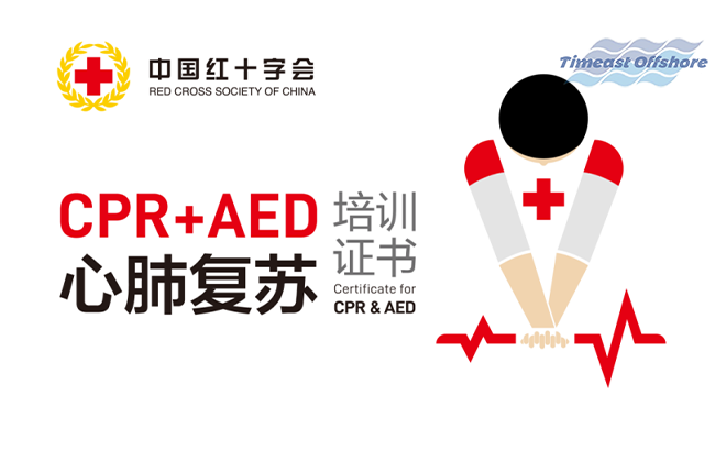 Saving Lives When Every Second Counts! Timeast Participates in CPR and AED Certification Training Saving Lives When Every Second Counts! Timeast Participates in CPR and AED Certification Training